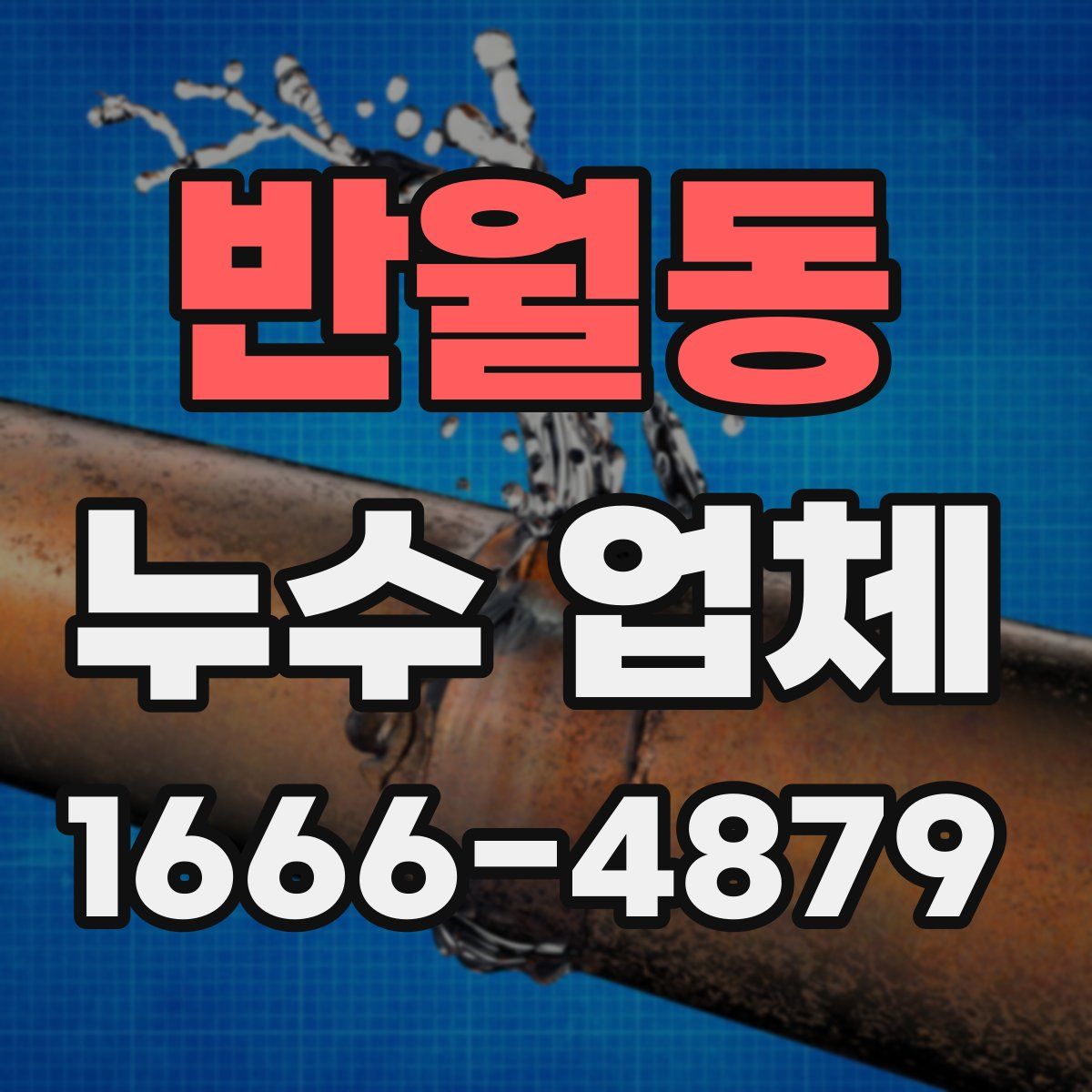반월동 누수 업체