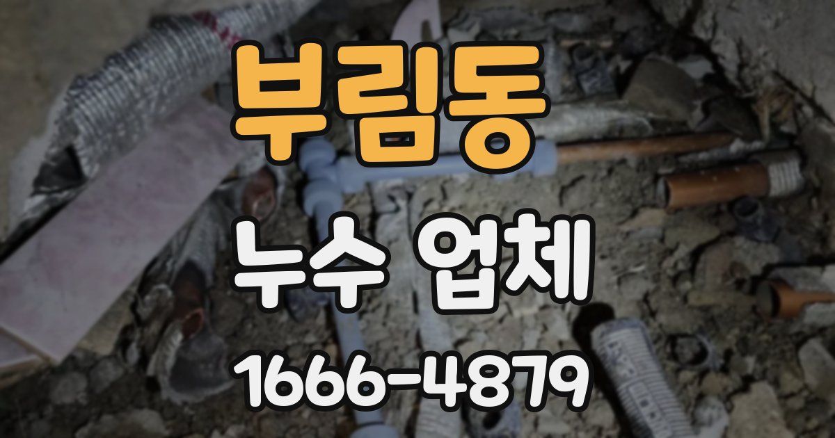 부림동 누수 업체