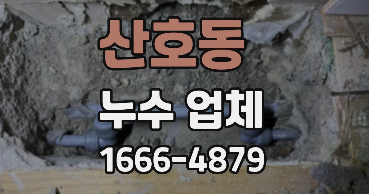 산호동 누수 업체