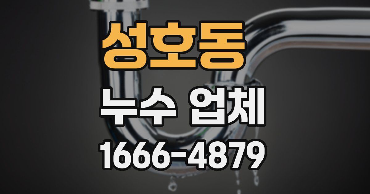 성호동 누수 업체