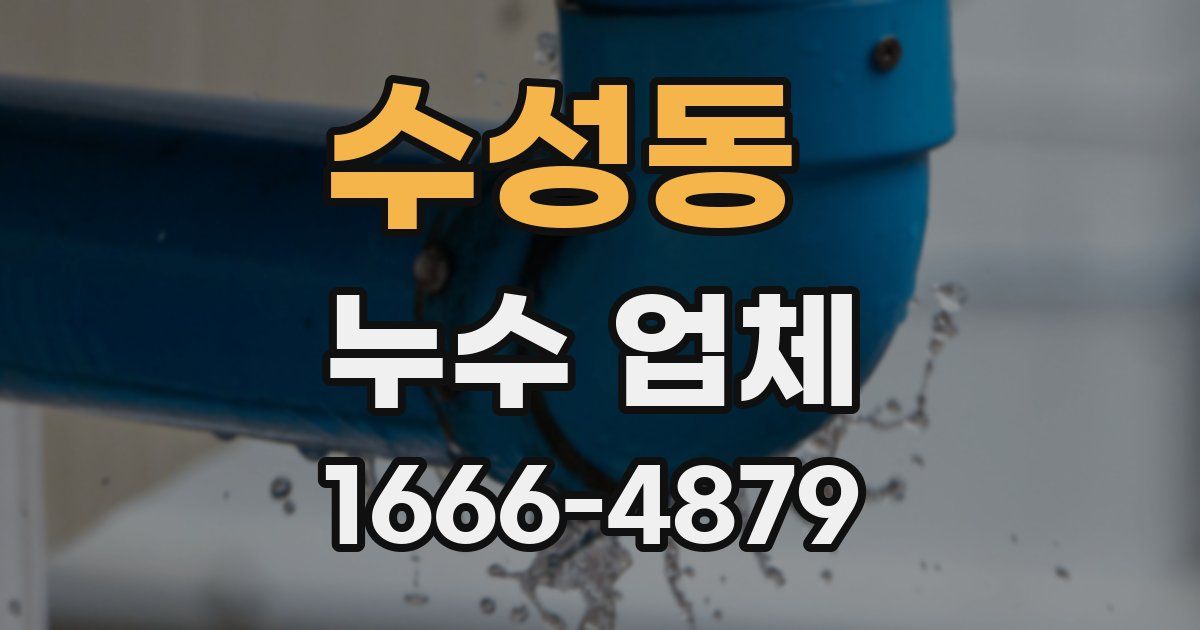 수성동 누수 업체