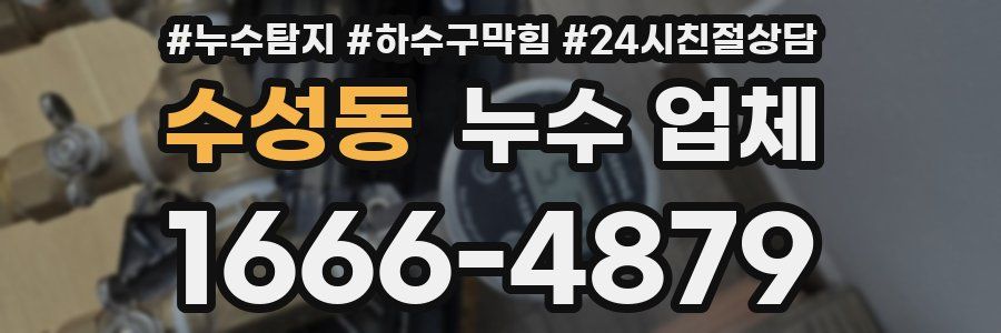 수성동 누수 업체