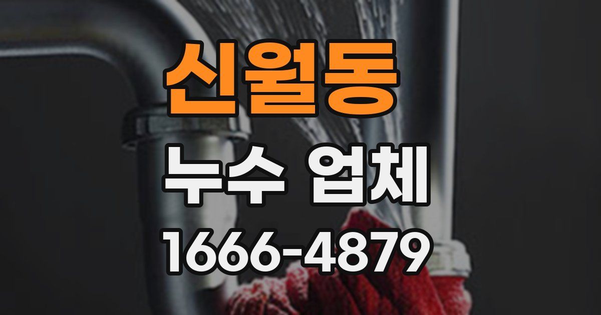 신월동 누수 업체