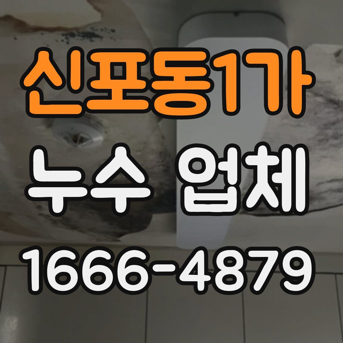 신포동1가 누수 업체