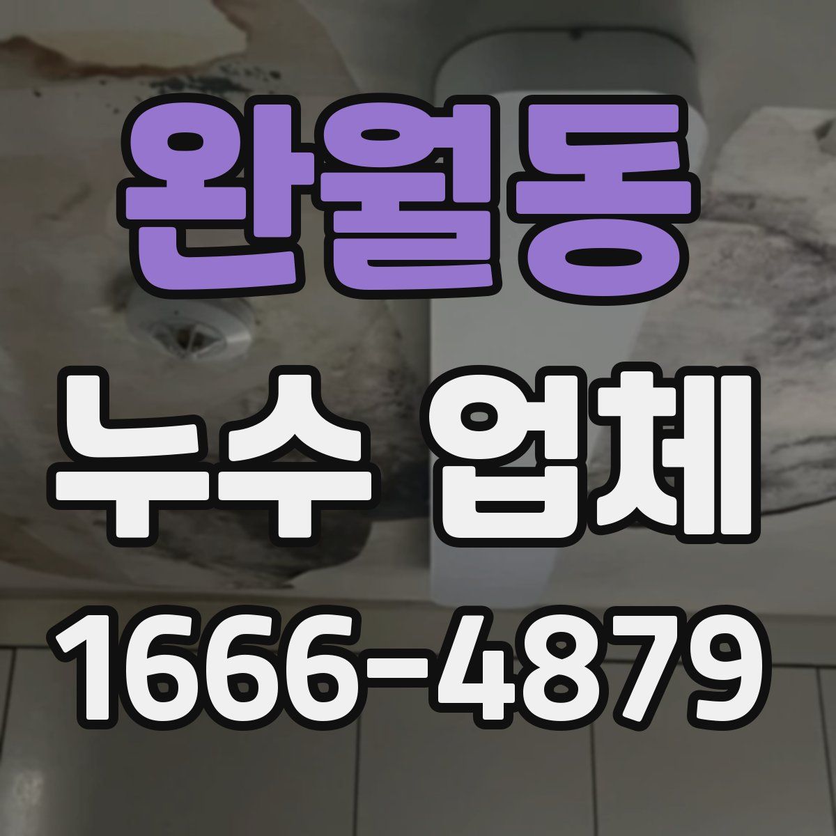 완월동 누수 업체