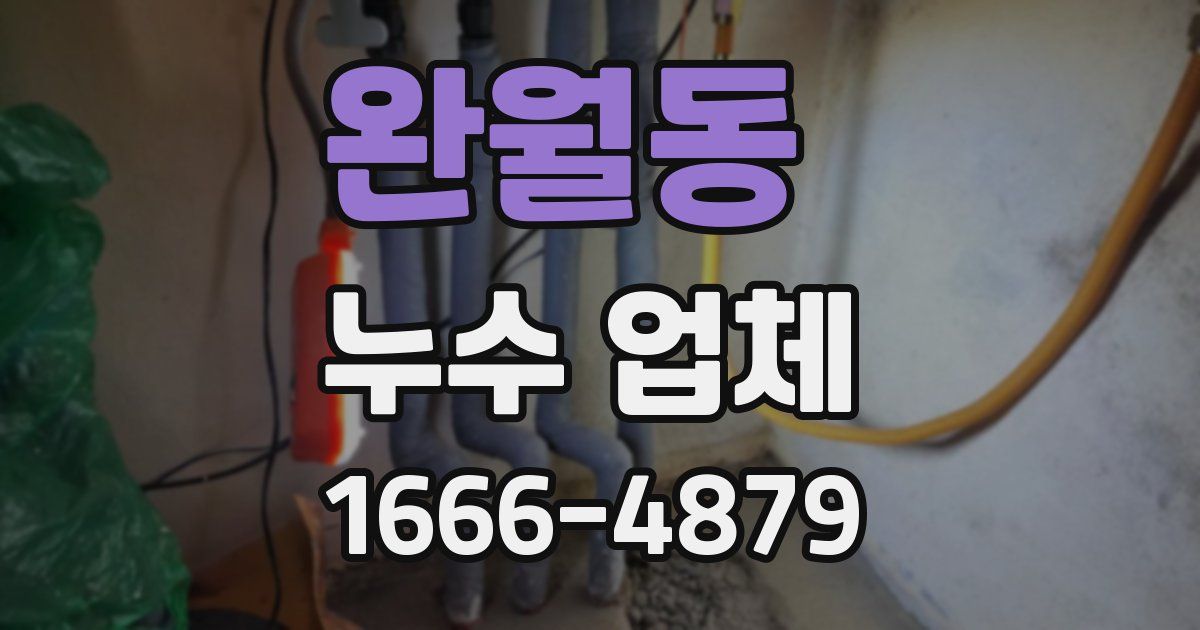 완월동 누수 업체
