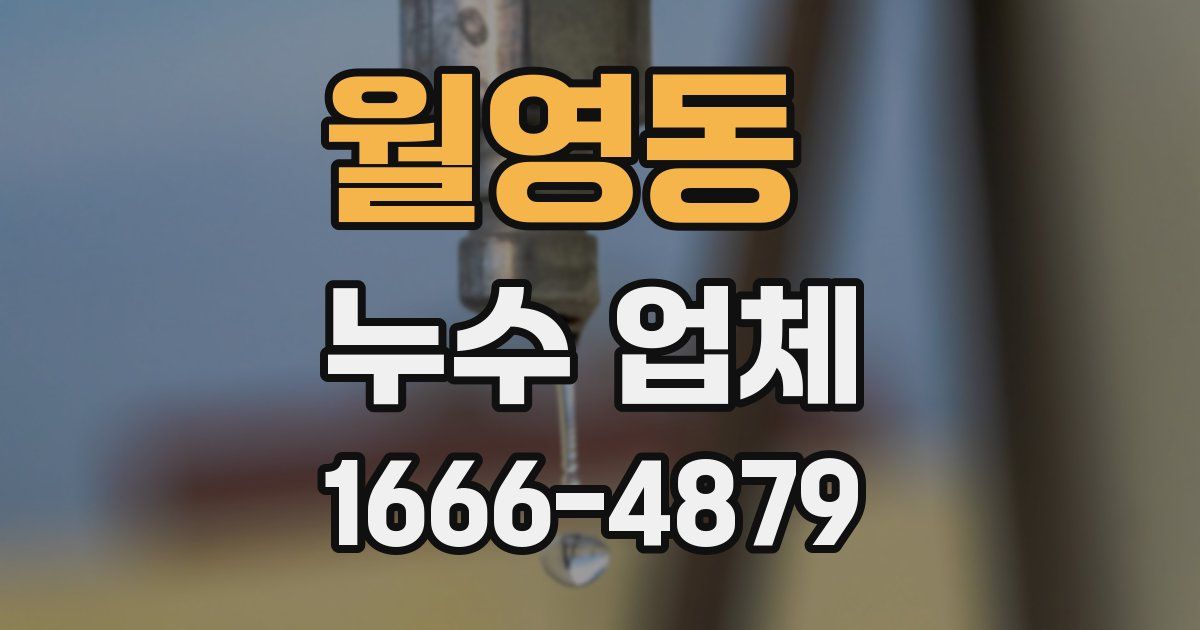 월영동 누수 업체