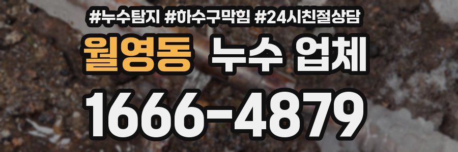 월영동 누수 업체