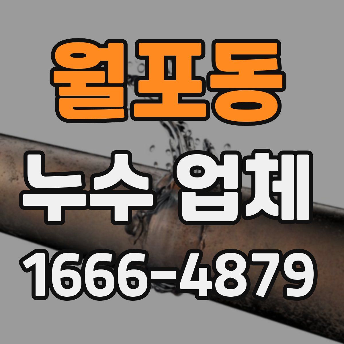 월포동 누수 업체