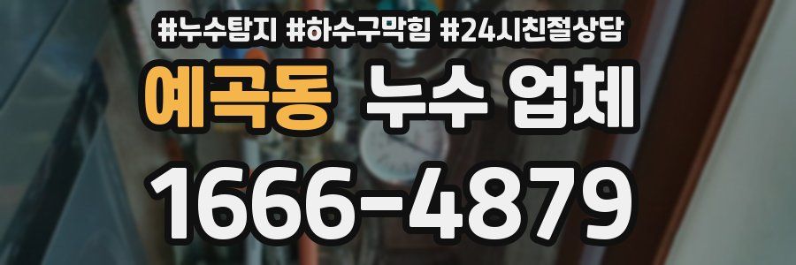 예곡동 누수 업체