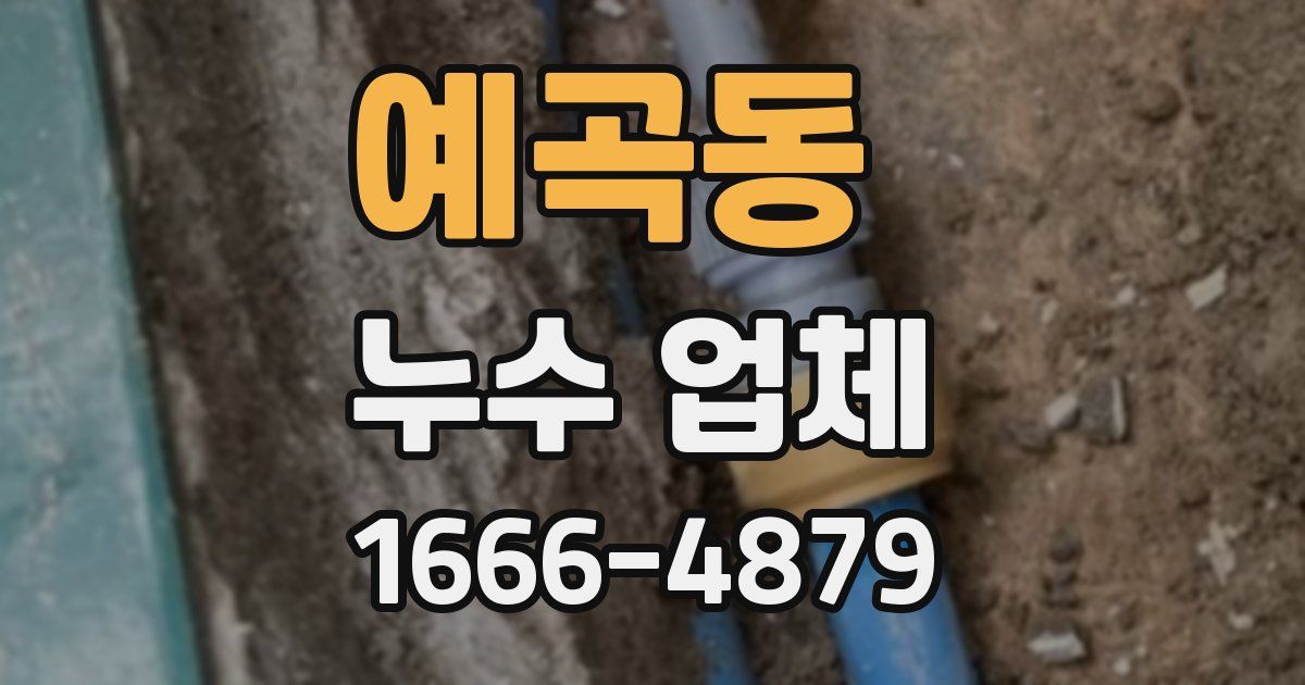 예곡동 누수 업체