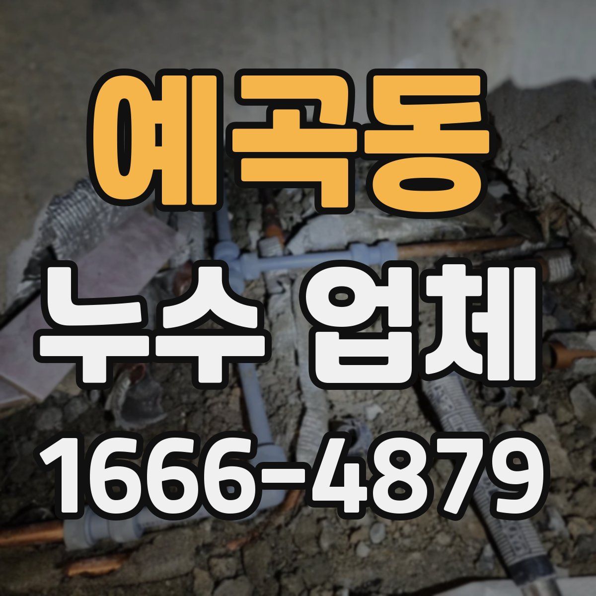 예곡동 누수 업체