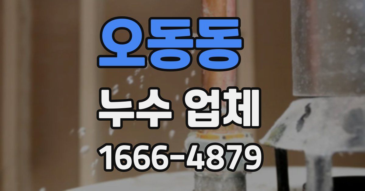 오동동 누수 업체