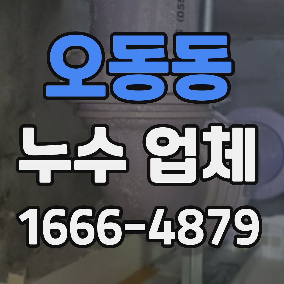 오동동 누수 업체