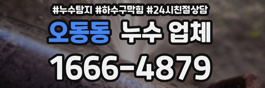 오동동 누수 업체