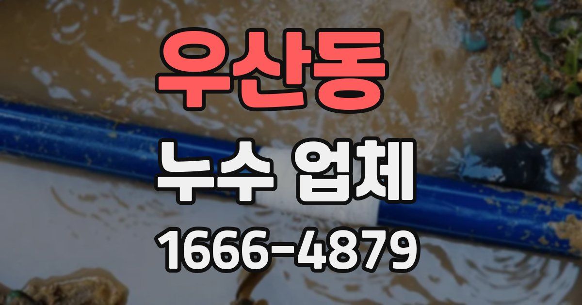 우산동 누수 업체