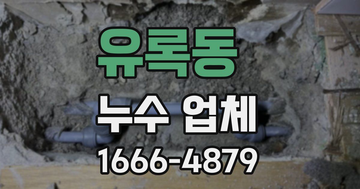 유록동 누수 업체