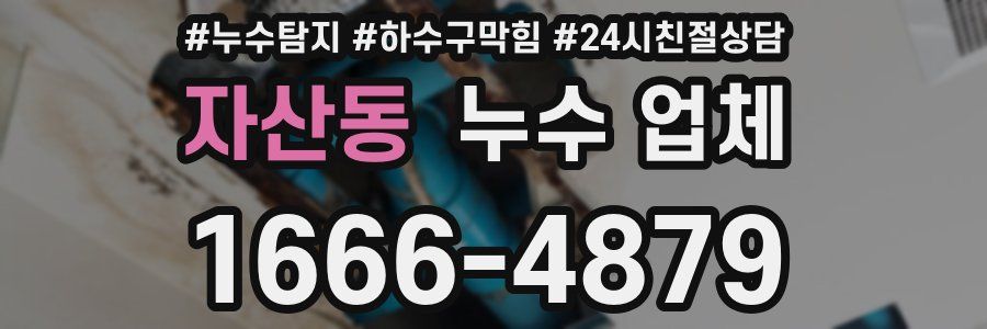 자산동 누수 업체
