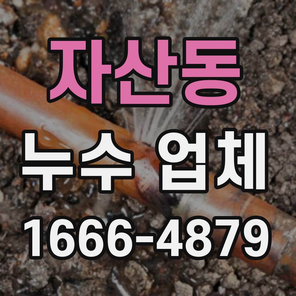 자산동 누수 업체