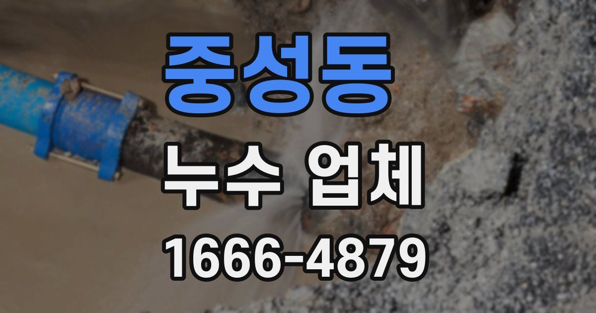 중성동 누수 업체