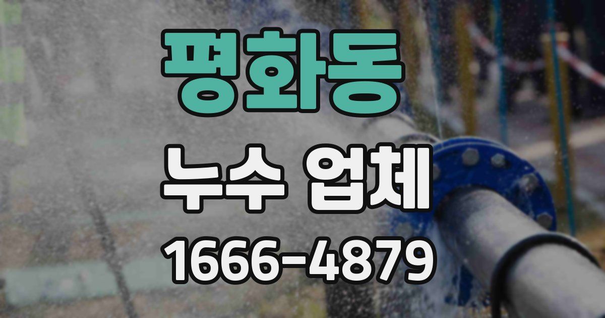평화동 누수 업체