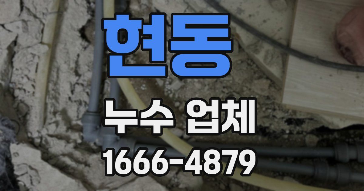 현동 누수 업체