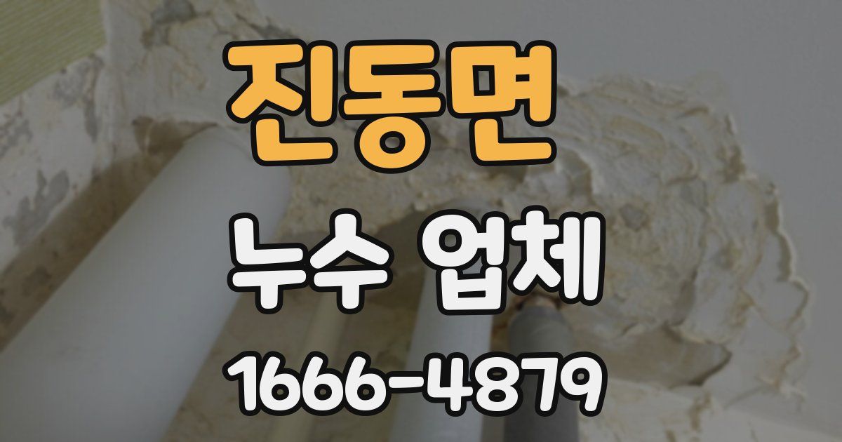진동면 누수 업체