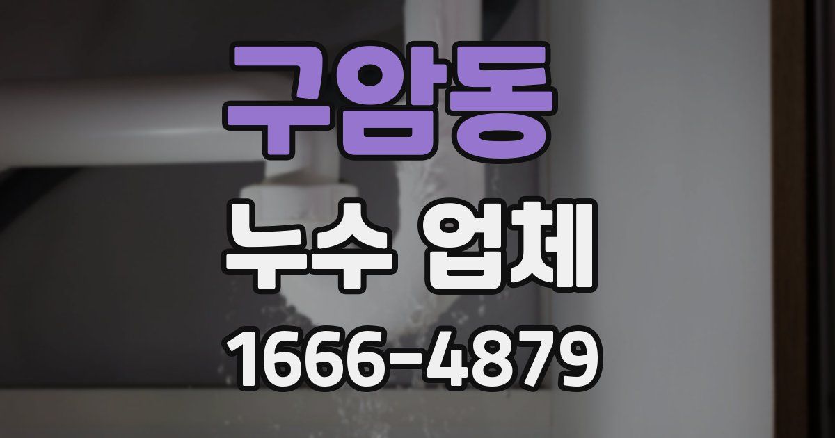 구암동 누수 업체