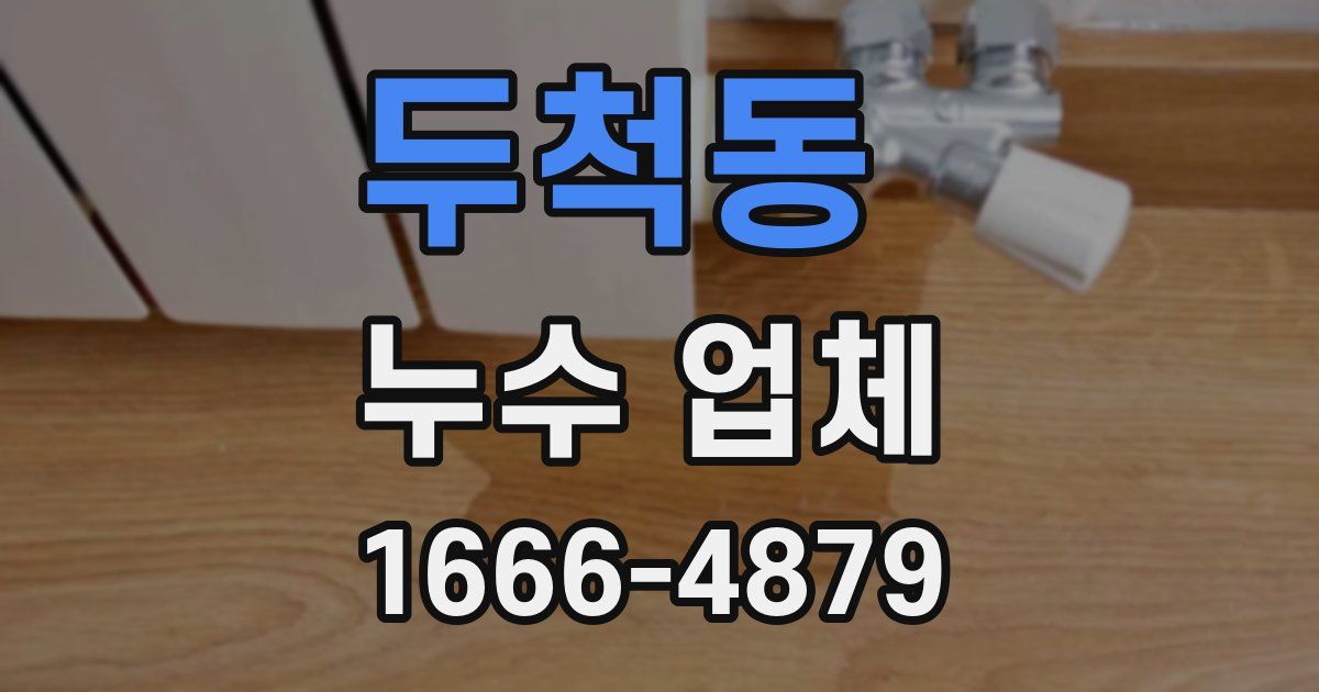 두척동 누수 업체