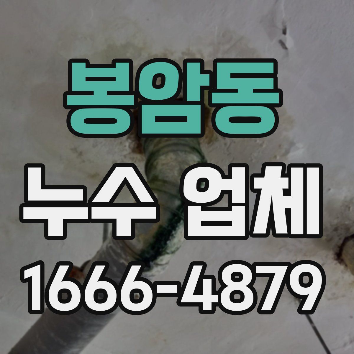 봉암동 누수 업체