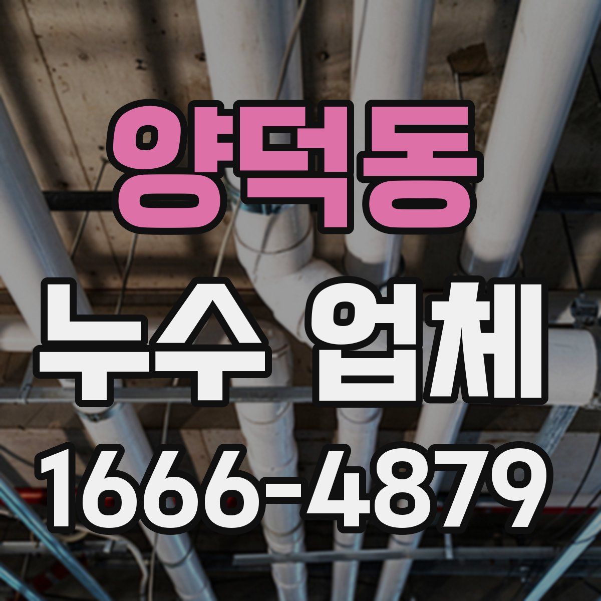 양덕동 누수 업체