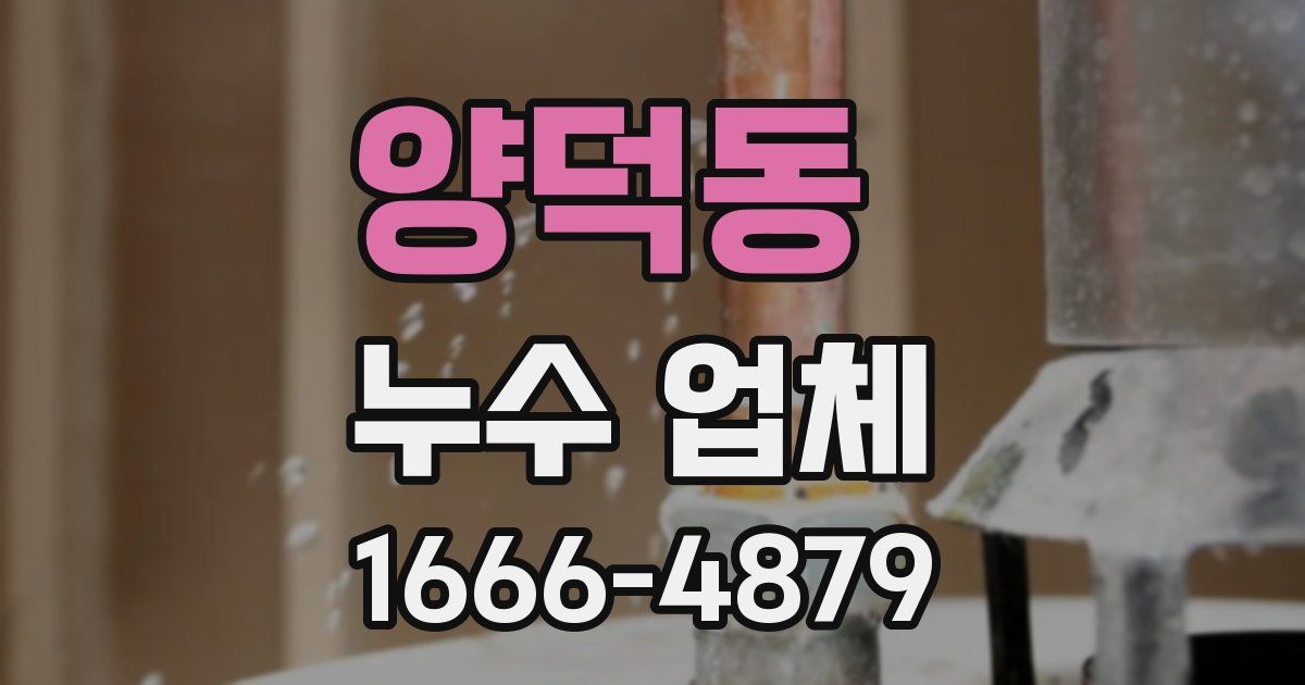 양덕동 누수 업체
