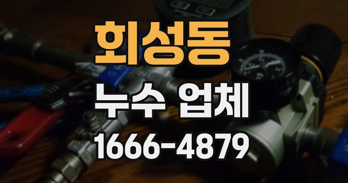회성동 누수 업체