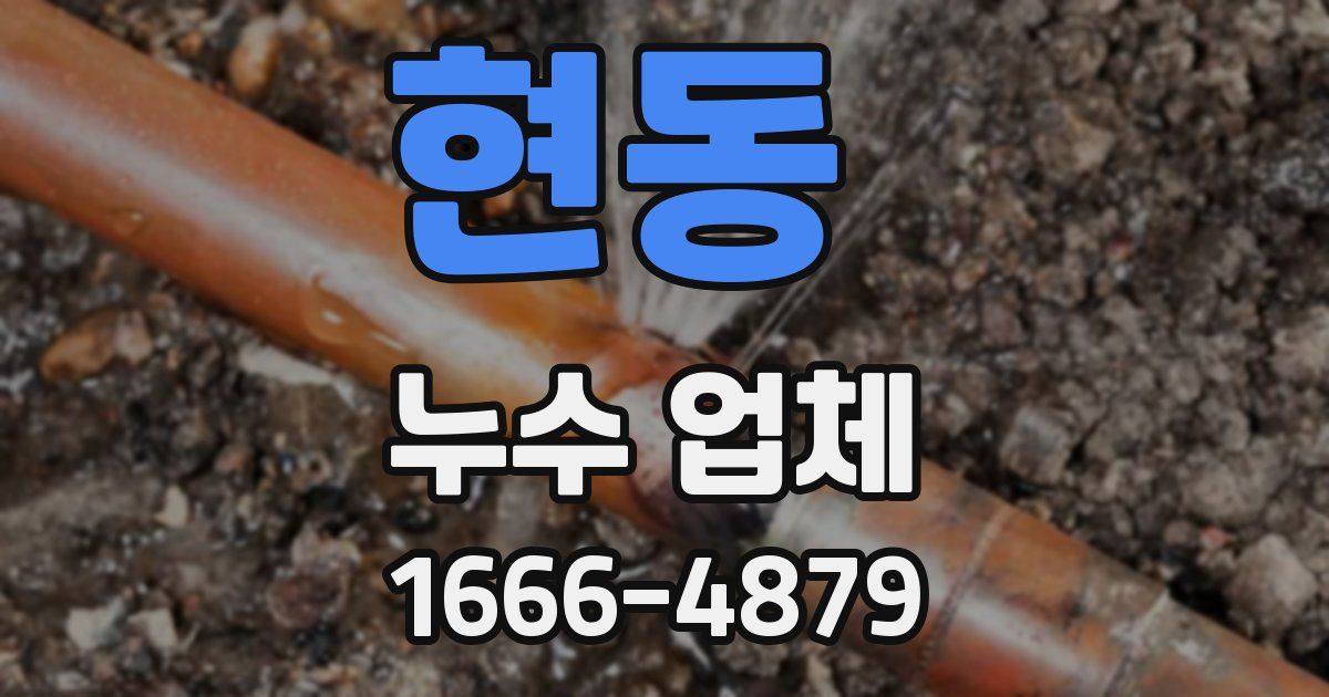 현동 누수 업체