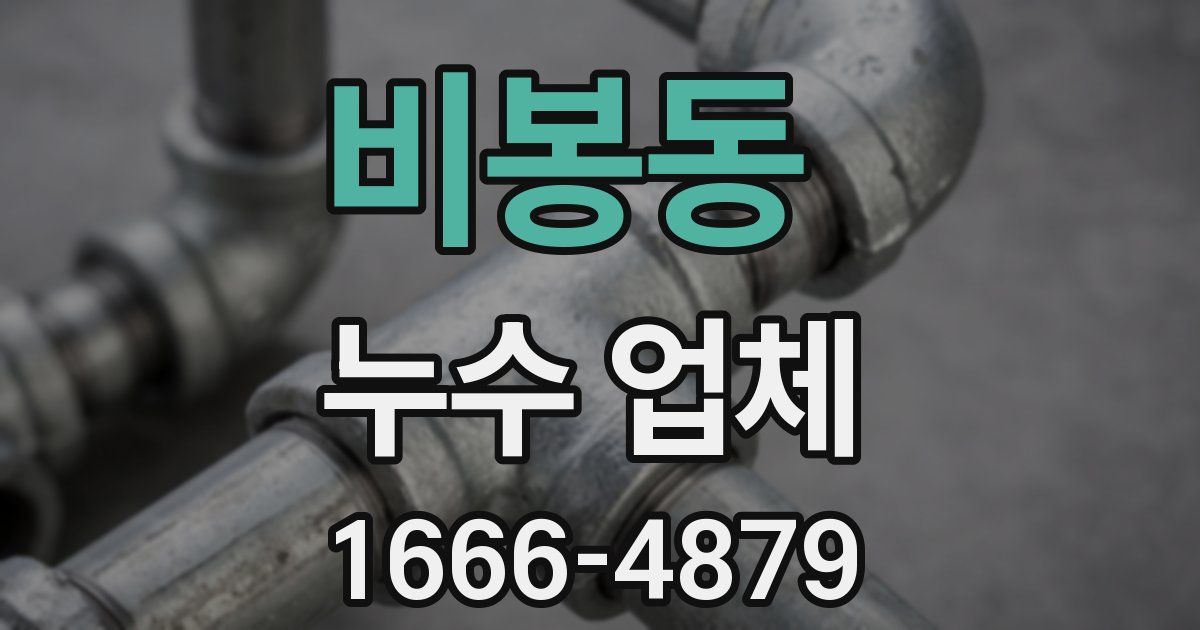 비봉동 누수 업체