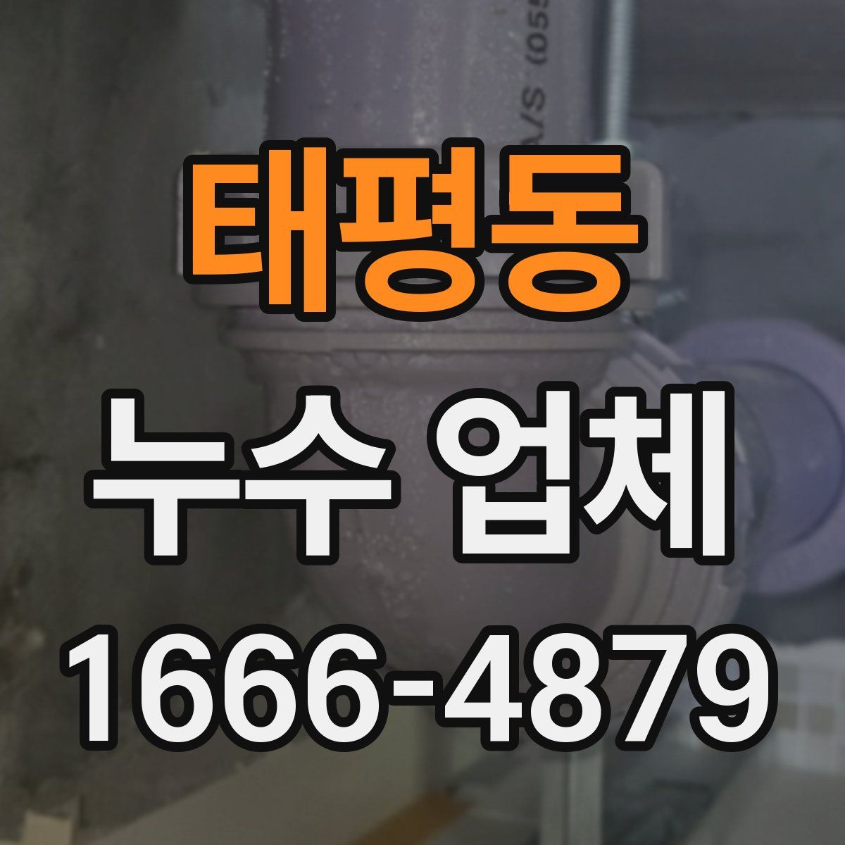 태평동 누수 업체