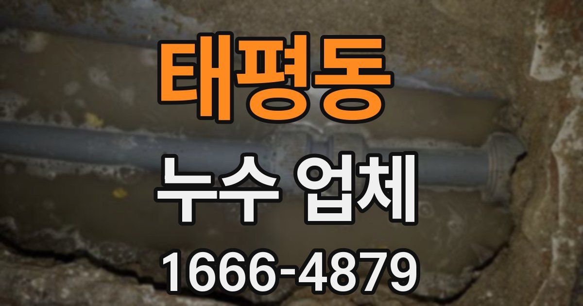 태평동 누수 업체