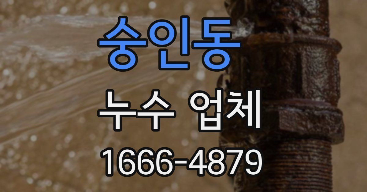 숭인동 누수 업체