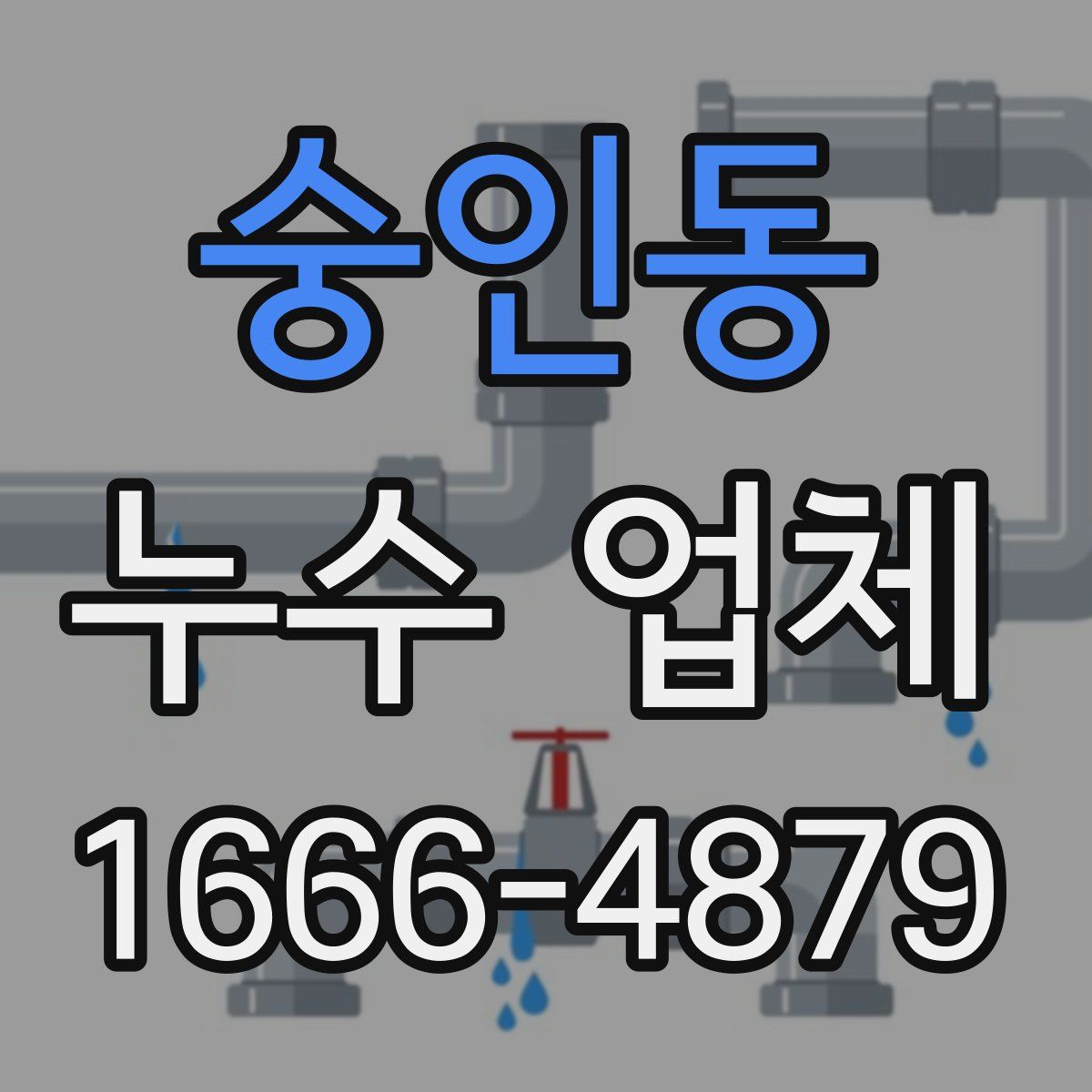 숭인동 누수 업체