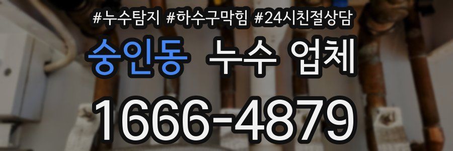 숭인동 누수 업체