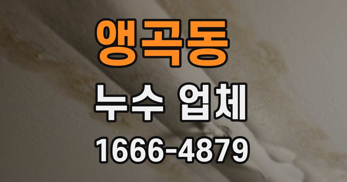 앵곡동 누수 업체