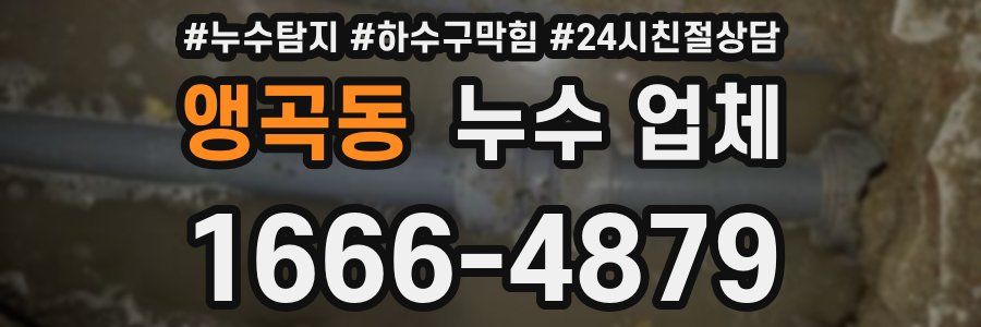 앵곡동 누수 업체