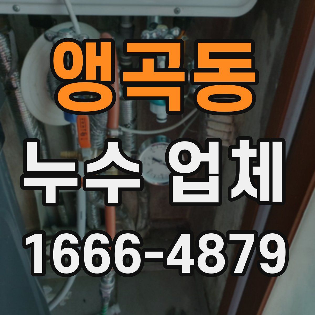 앵곡동 누수 업체