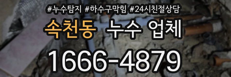 속천동 누수 업체