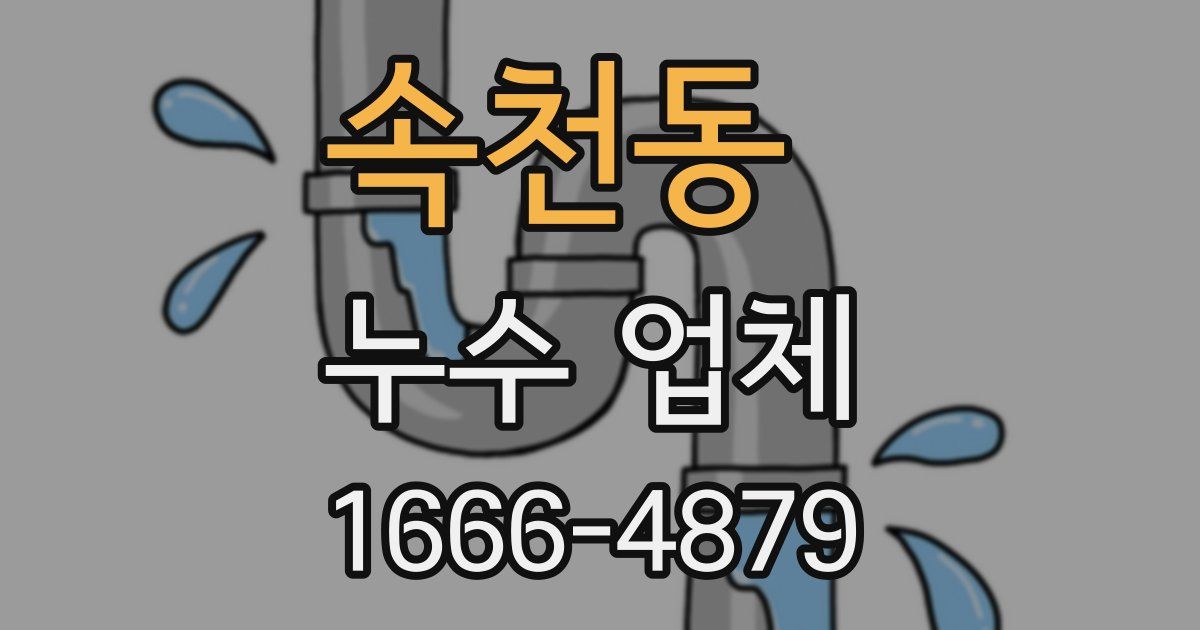 속천동 누수 업체