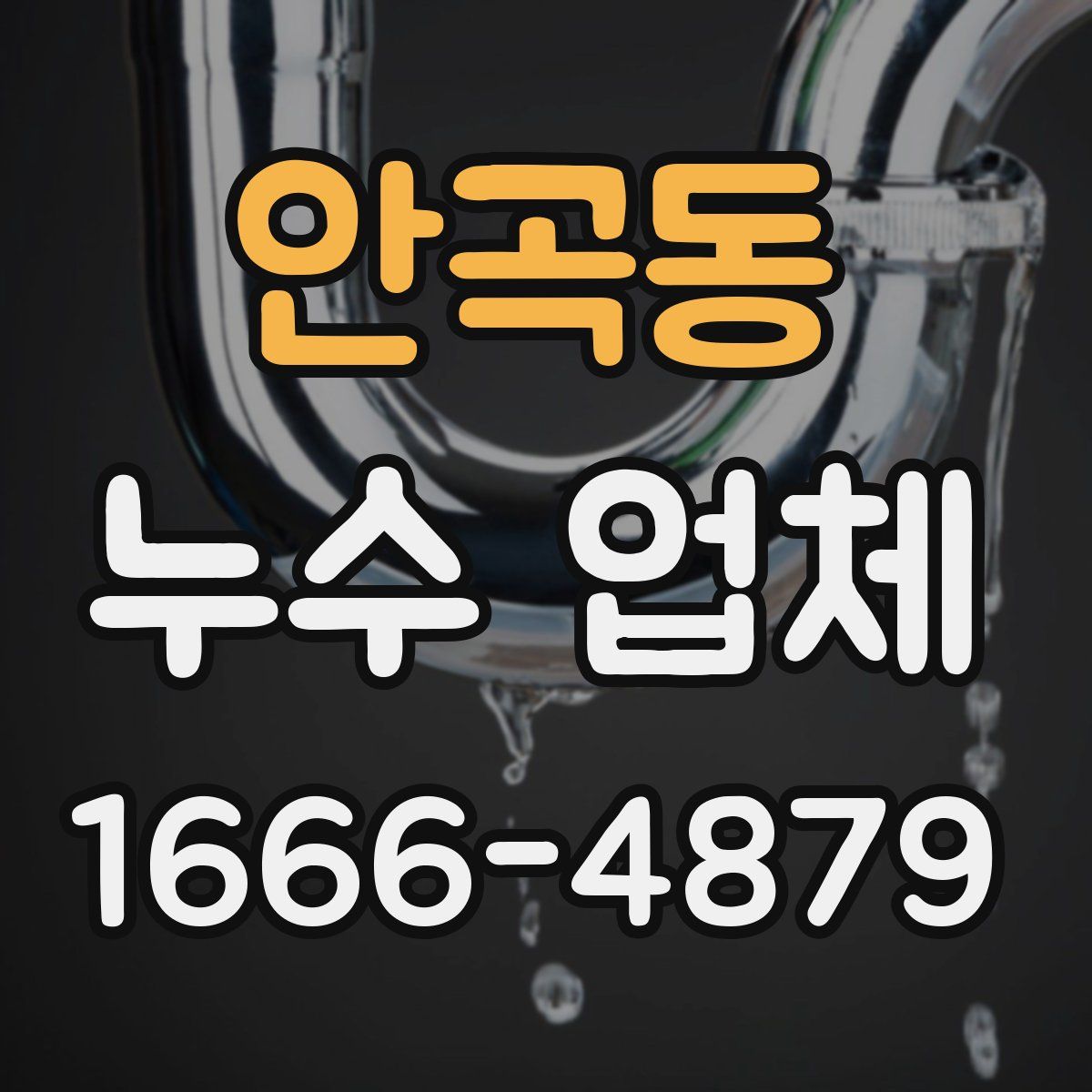 안곡동 누수 업체