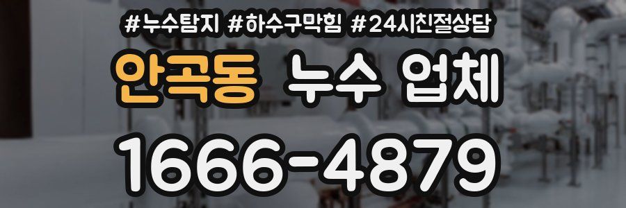 안곡동 누수 업체