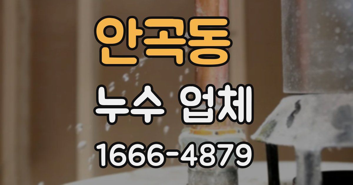 안곡동 누수 업체