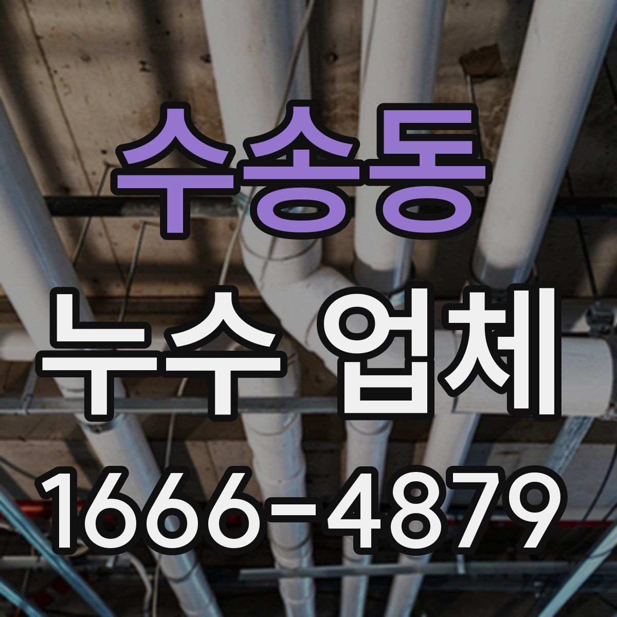 수송동 누수 업체