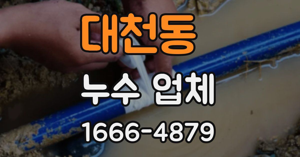 대천동 누수 업체